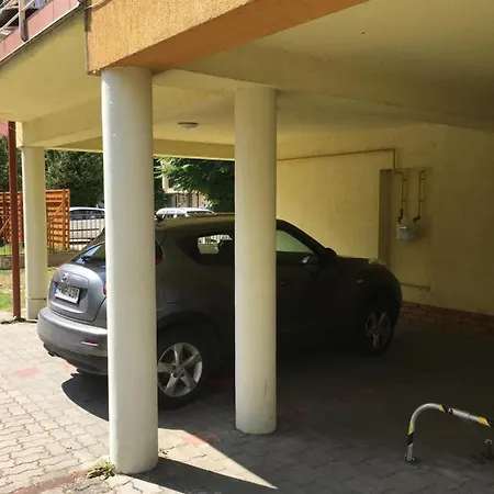 Paddy Towers Siofok